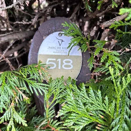 Gezellig, Mooi En Ruim In 別荘